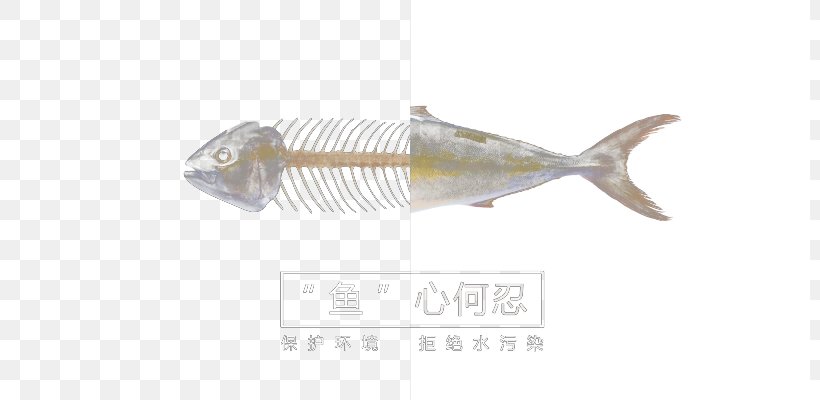 U4f55 U5fcd Fish Bone, PNG, 800x400px, Fish Bone, Bone, Designer, Fauna, Fish Download Free
