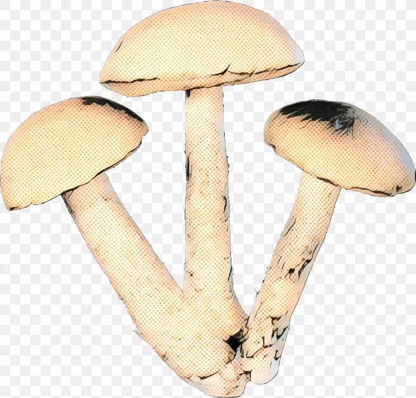 Edible Mushroom Agaricaceae Product Design, PNG, 2999x2870px, Edible Mushroom, Agaric, Agaricaceae, Agaricomycetes, Agaricus Download Free