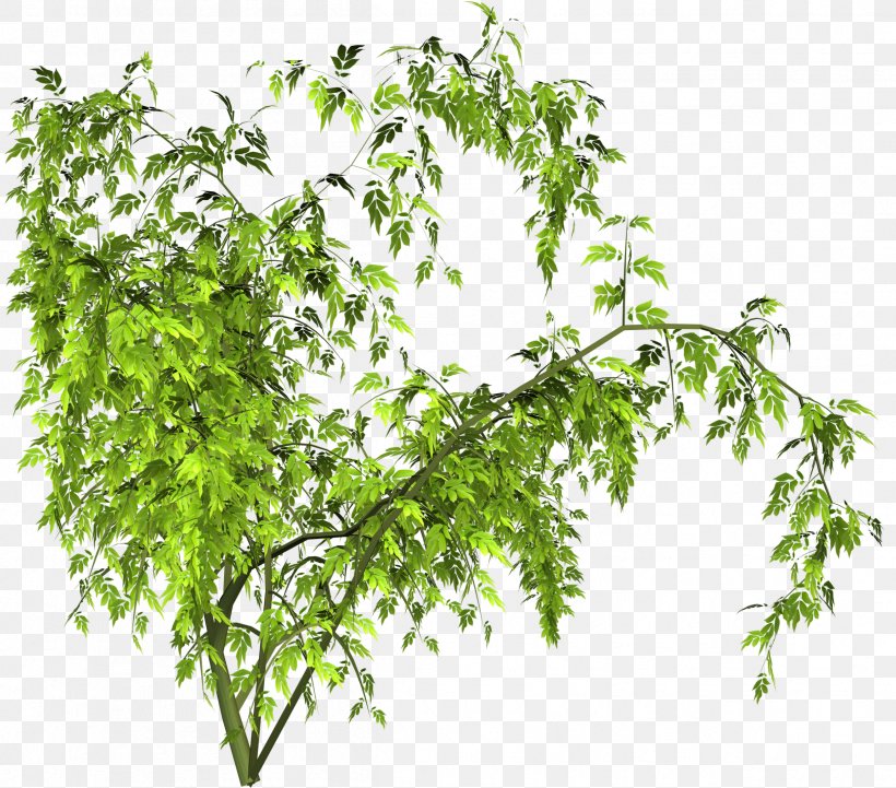 Tree Branch Clip Art Digital Image, PNG, 2416x2127px, Tree, Branch, Digital Image, Flowerpot, Herb Download Free