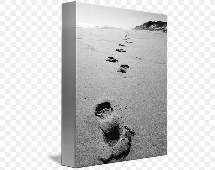White, PNG, 469x650px, White, Black And White, Footprint, Monochrome, Monochrome Photography Download Free
