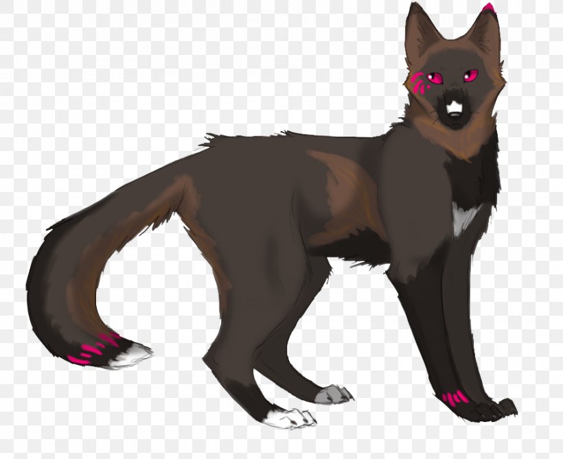 Dog Cat Fur Fox Tail, PNG, 896x732px, Dog, Carnivoran, Cat, Cat Like Mammal, Character Download Free