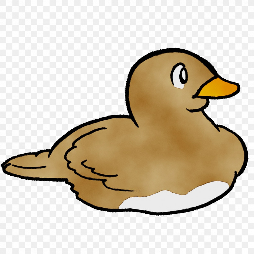 Duck Ducks Waterfowl Beak Swans, PNG, 1200x1200px, Watercolor, Beak, Duck, Ducks, Grey Geese Download Free