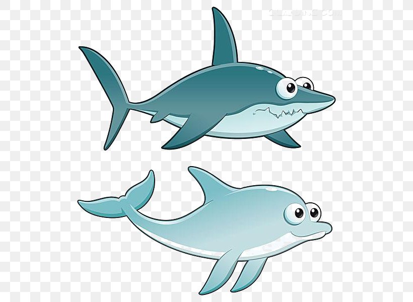Shark Dolphin Royalty-free Illustration, PNG, 540x600px, Shark, Aqua, Carcharhinus Amblyrhynchos, Cartilaginous Fish, Cartoon Download Free