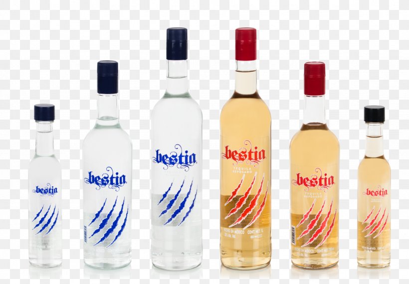 Liqueur Tequila Distilled Beverage Mexican Cuisine Vodka, PNG, 1024x713px, Liqueur, Agave, Agave Azul, Alcohol, Alcoholic Beverage Download Free