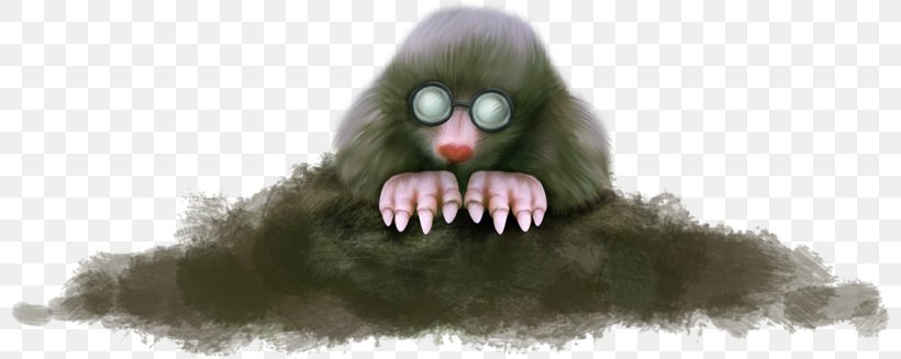 Gorilla Monkey, PNG, 800x327px, Gorilla, Cercopithecidae, Fictional Character, Fur, Glasses Download Free