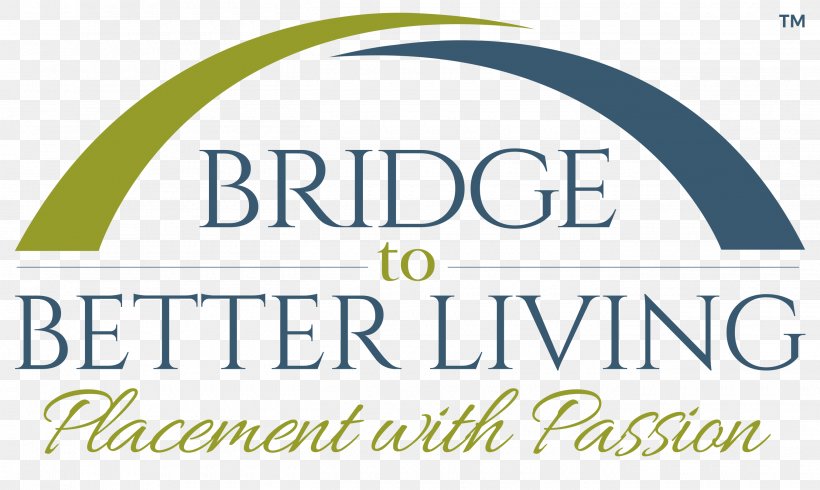 Bridge To Better Living Copywriting Consultant Business Assisted Living, PNG, 2700x1614px, Copywriting, Aged Care, Area, Assisted Living, Avonmouth Old Boys Download Free