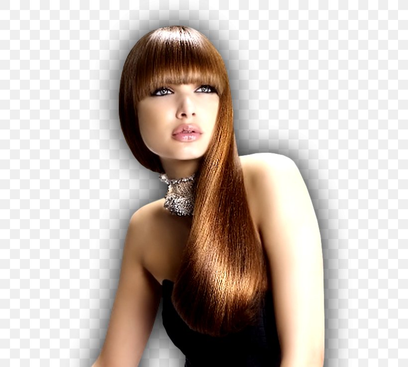 Hairstyle Bangs Long Hair Artificial Hair Integrations, PNG, 646x737px, Hairstyle, Artificial Hair Integrations, Bangs, Barber, Beauty Parlour Download Free