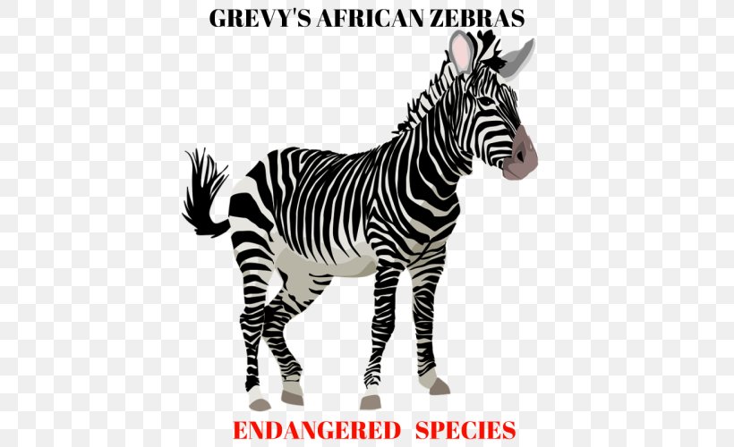 Zebra Horse Clip Art, PNG, 500x500px, Zebra, Animal, Animal Figure, Black And White, Horse Download Free
