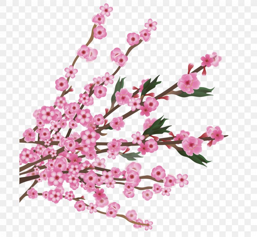 Cherry Blossom, PNG, 3510x3245px, Blossom, Branch, Cherry, Cherry Blossom, Designer Download Free