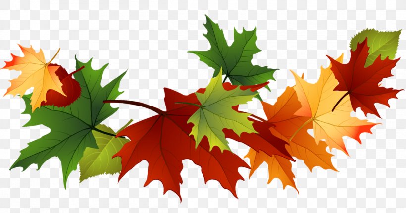 Clip Art Image Autumn Leaf Color, PNG, 1200x630px, Autumn Leaf Color, Autumn, Flowering Plant, Leaf, Maple Download Free