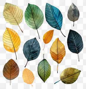 Dead Leaves - Colorful Foliage Illustration PNG