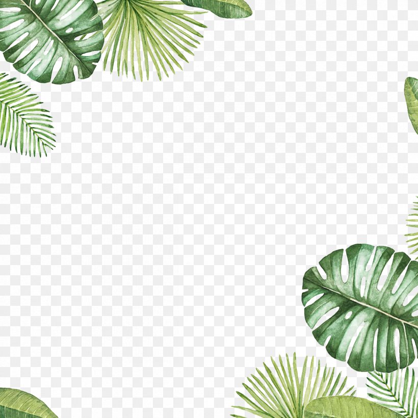 Leaf Clip Art, PNG, 1199x1199px, Leaf, Arecales, Color, Flower, Green Download Free