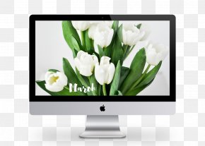 Design - Web Development Business Responsive Web Design PNG