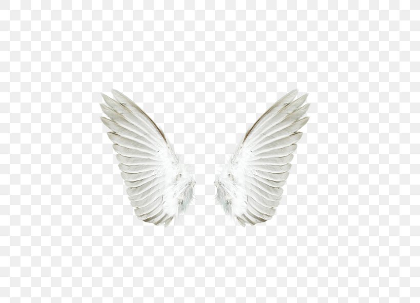 Angel Download, PNG, 591x591px, Angel, Devil, Feather, Guardian Angel, Silver Download Free