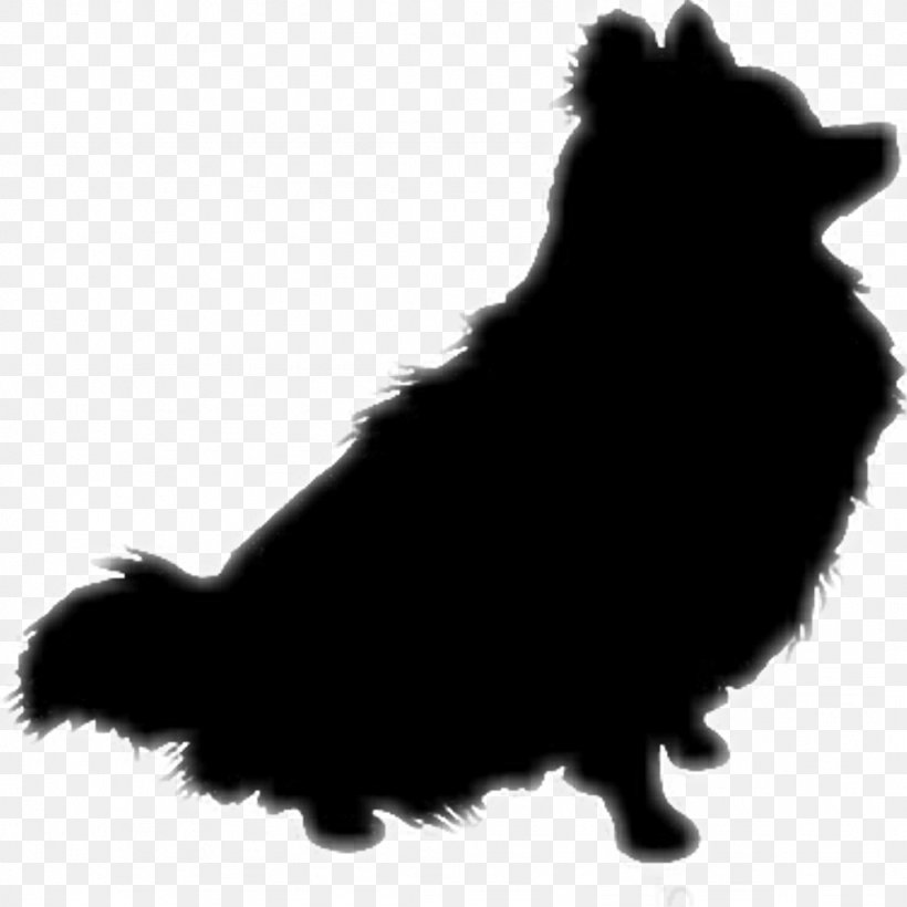 German Spitz Klein Pomeranian Schipperke Puppy, PNG, 1024x1024px, German Spitz Klein, Breed, Canidae, Carnivore, Companion Dog Download Free