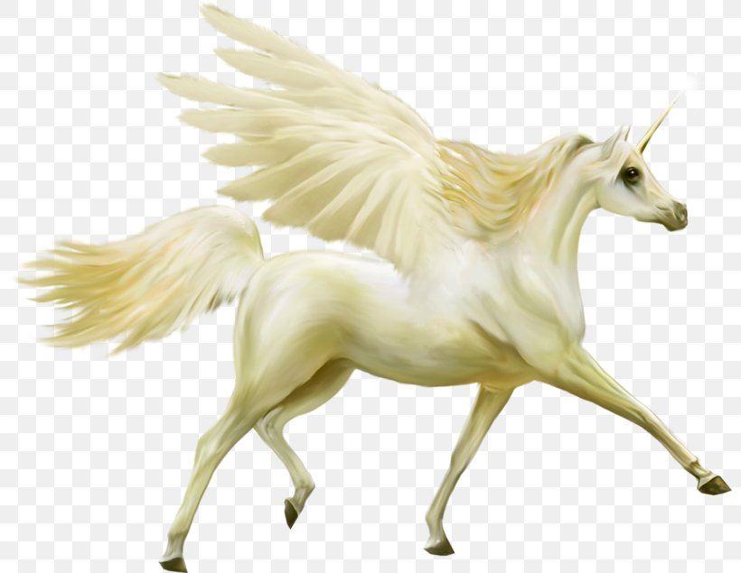 Horse Unicorn Pegasus Legendary Creature, PNG, 800x635px, Horse, Bird, Bliblicom, Fictional Character, Figurine Download Free