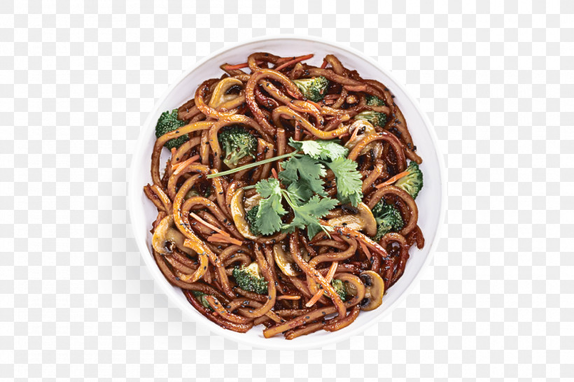 Lo Mein Fried Noodles Bucatini Yakisoba Chinese Noodles, PNG, 1050x700px, Lo Mein, Bigoli, Bucatini, Chinese Noodles, Chow Mein Download Free