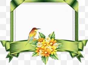 Flower Hummingbird - Watercolor Floral Background PNG