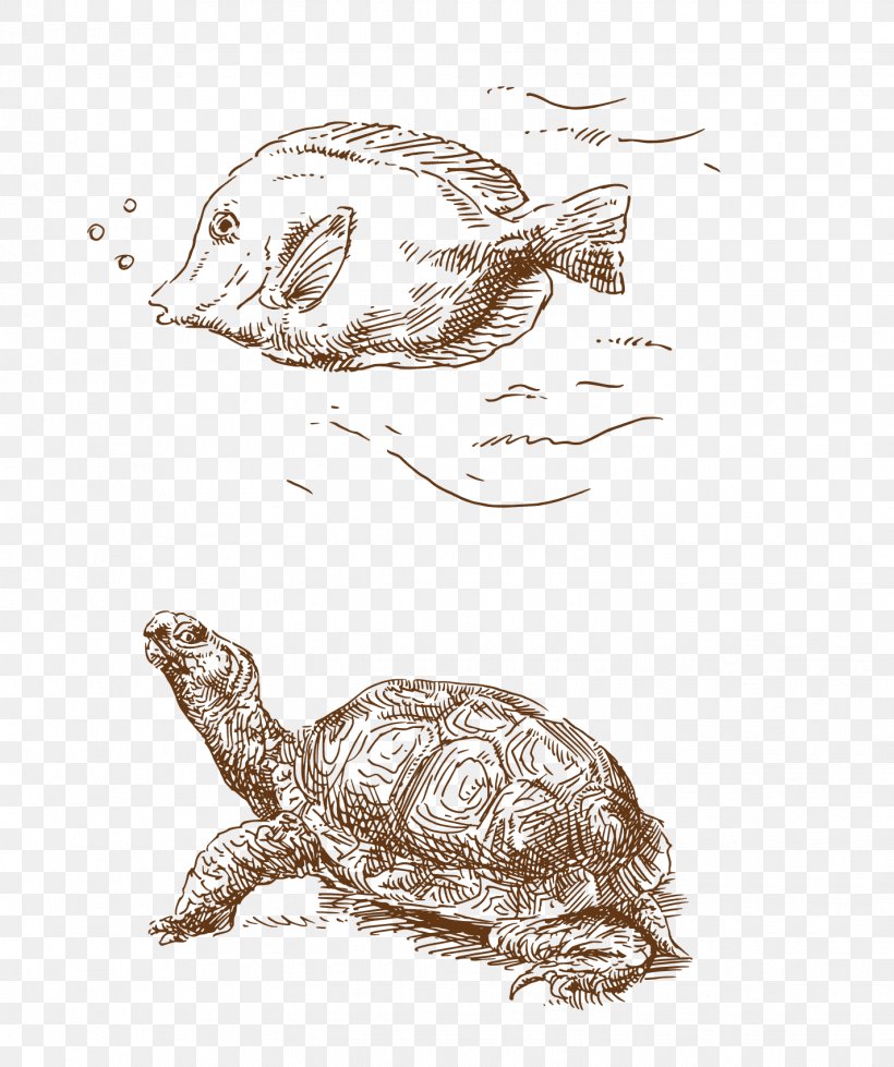 Beach Euclidean Vector Work Of Art, PNG, 1425x1703px, Beach, Drawing, Reptile, Summer, Tortoise Download Free