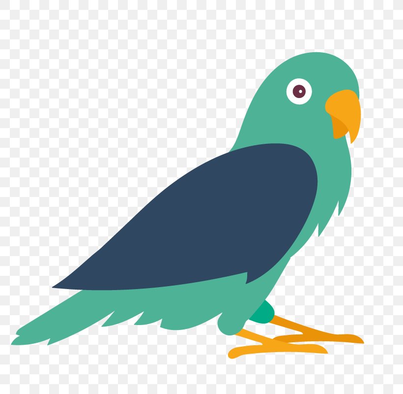 Budgerigar Lovebird Parrot Macaw, PNG, 800x800px, Budgerigar, Beak, Bird, Bird Of Prey, Common Pet Parakeet Download Free