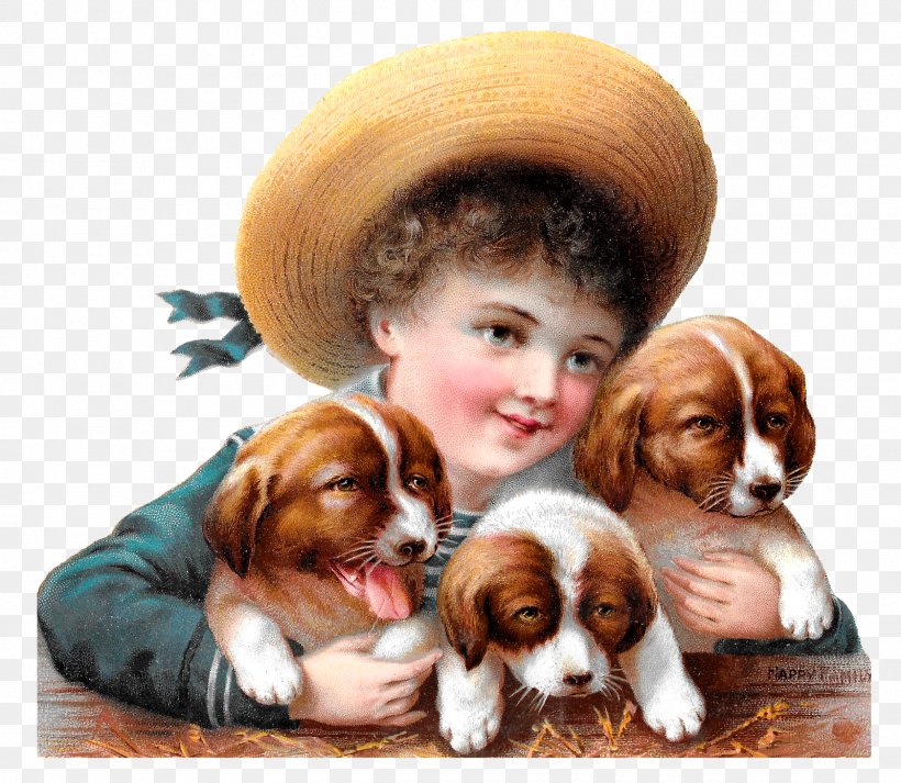 Cavalier King Charles Spaniel Puppy Pug Dog Breed, PNG, 1600x1392px, King Charles Spaniel, Carnivoran, Cavalier King Charles Spaniel, Child, Companion Dog Download Free