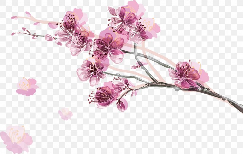 Pink Color Cherry Blossom Illustration, PNG, 1610x1022px, Pink, Artificial Flower, Blossom, Blue, Branch Download Free