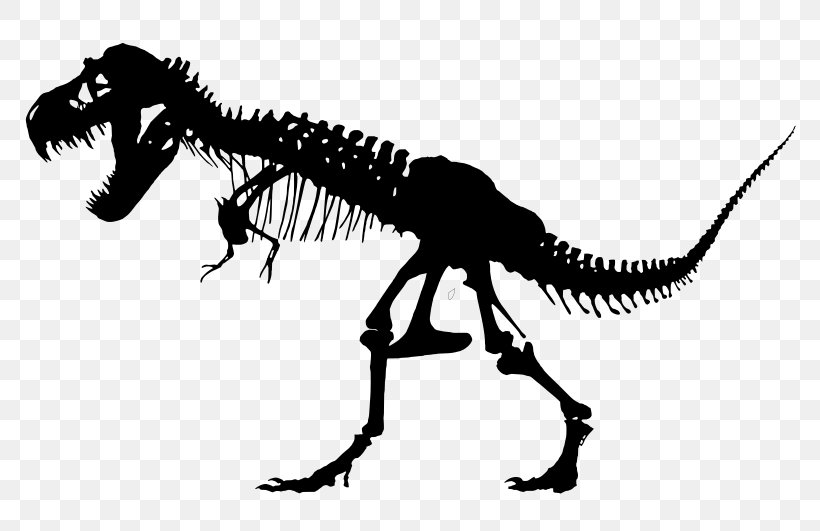 Specimens Of Tyrannosaurus Skeleton Sue Triceratops, PNG, 800x531px, Tyrannosaurus, Black And White, Bone, Dinosaur, Extinction Download Free