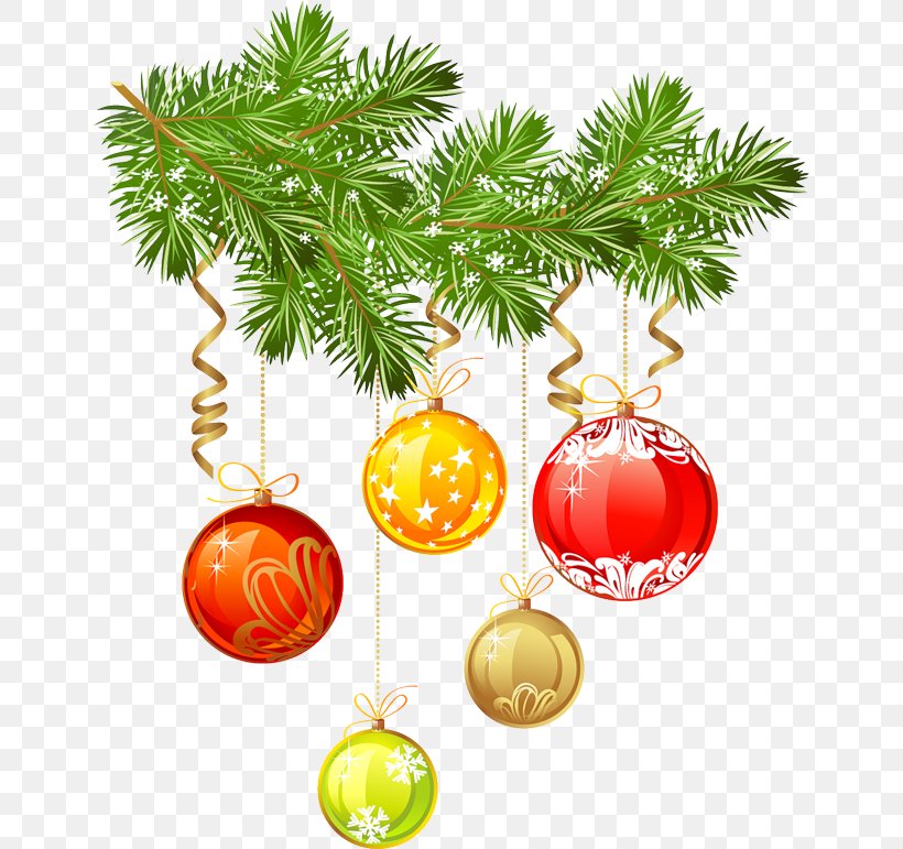 Clip Art Computer File Image Adobe Photoshop, PNG, 650x771px, Information, Branch, Christmas, Christmas Day, Christmas Decoration Download Free
