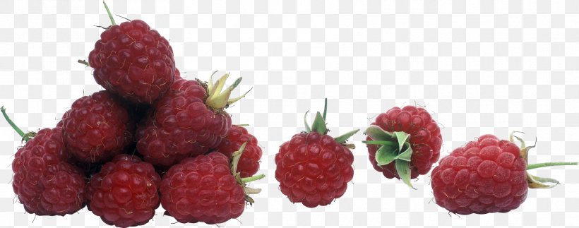 Clip Art Red Raspberry Image Adobe Photoshop, PNG, 1758x694px, Red Raspberry, Accessory Fruit, Berry, Computer Graphics, Digital Image Download Free
