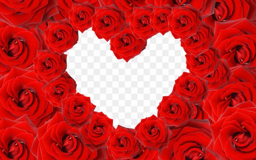 Heart Rose Valentines Day Wallpaper, PNG, 1800x1125px, Heart, Color, Cut Flowers, Display Resolution, Floral Design Download Free