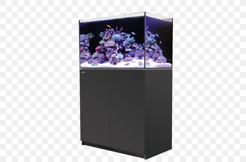 Red Sea Reefer 250 Reef Aquarium, PNG, 800x540px, Red Sea, Aquarium, Coral, Coral Reef, Filtration Download Free