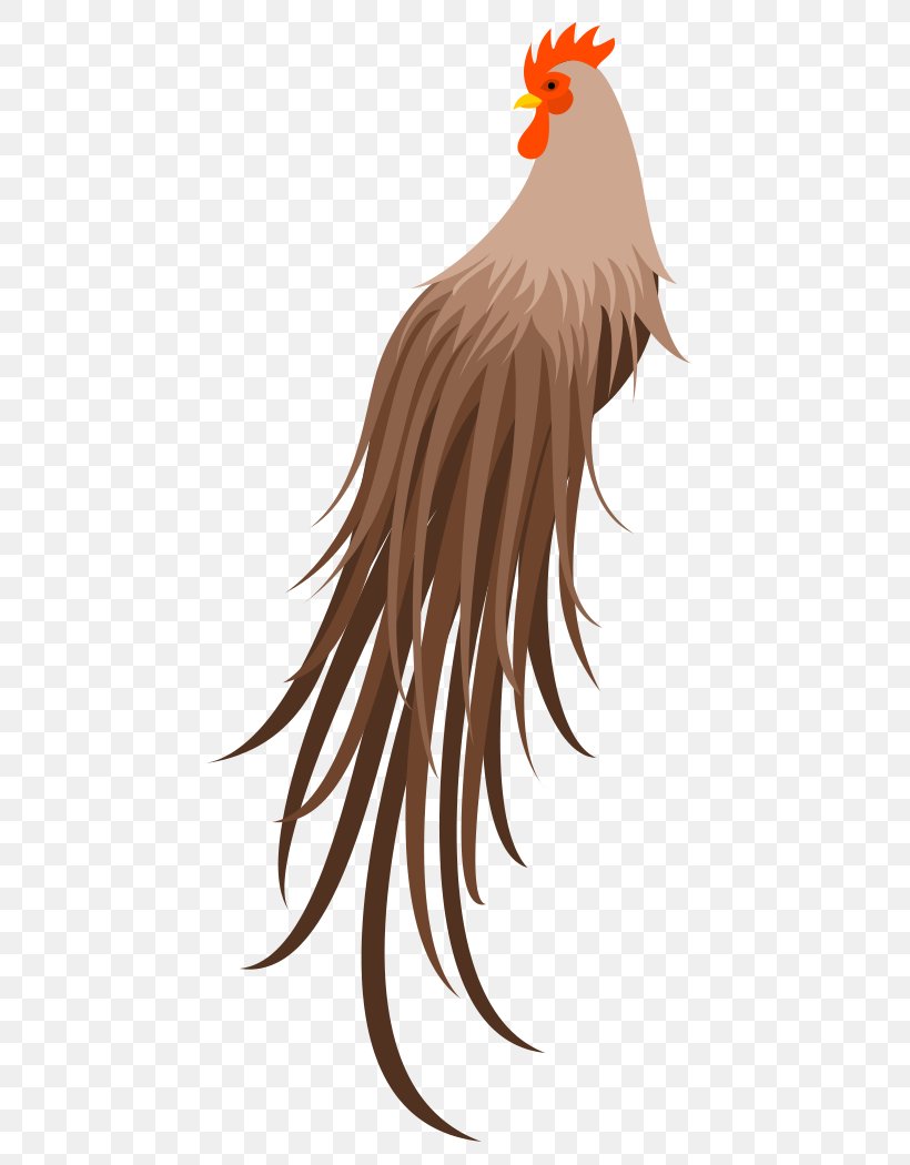 Rooster Chicken Bird Beak, PNG, 510x1050px, Rooster, Beak, Bird, Bird Of Prey, Character Download Free