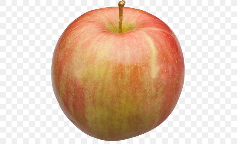 McIntosh Red Fuji Michigan Apple Ralls Janet, PNG, 500x500px, Mcintosh Red, Accessory Fruit, Apple, Cider Mill, Food Download Free