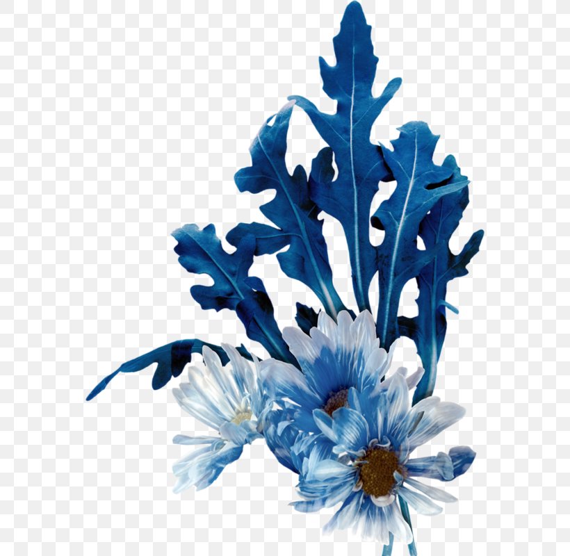 Arugula Cut Flowers Blue Floral Design, PNG, 574x800px, Arugula, Artificial Flower, Blue, Botany, Cobalt Blue Download Free