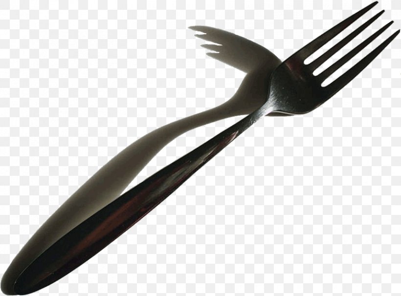 Gardening Forks Vocabulary Spoon Tool, PNG, 855x632px, Fork, Cutlery, Dictionary, Eating, Food Download Free