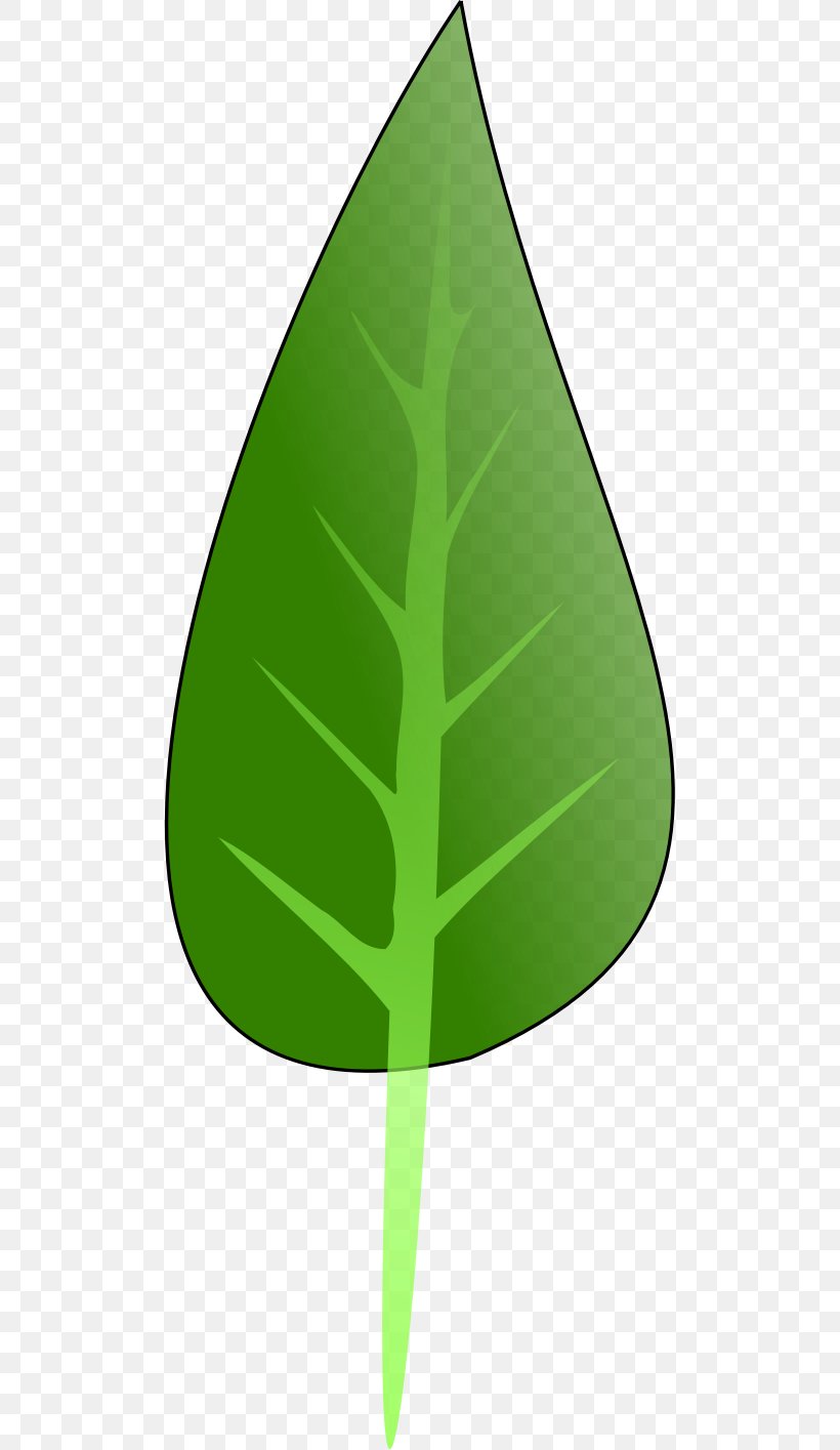 Product Design Leaf Triangle Green, PNG, 499x1415px, Leaf, Cone, Grass, Green, Plant Download Free