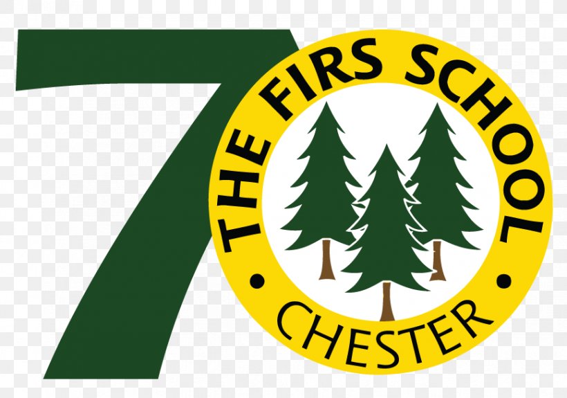 The Firs School Manchester Grammar School Withington Girls' School Education, PNG, 867x608px, School, Area, Brand, Cheshire, Chester Download Free