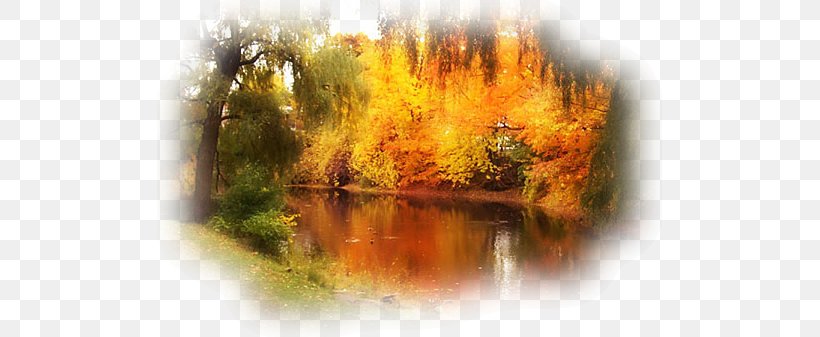 Autumn Quebec Photography, PNG, 505x337px, Autumn, Bank, Landscape, Leaf, Music Video Download Free