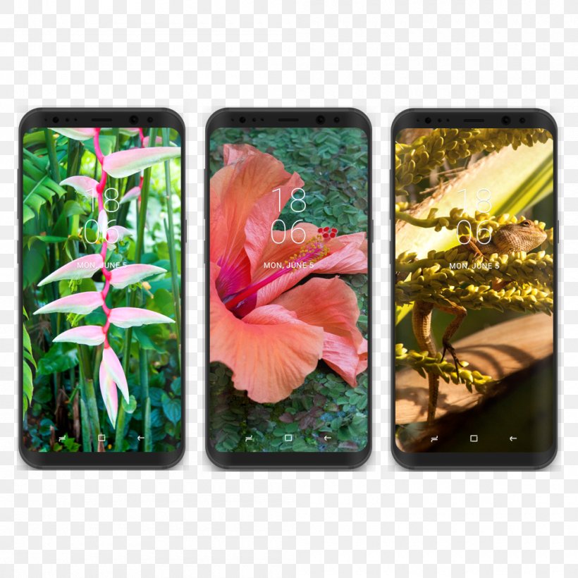 Samsung Galaxy S8+ Desktop Wallpaper, PNG, 1000x1000px, Samsung Galaxy S8, Apartment, Flora, Flower, House Download Free