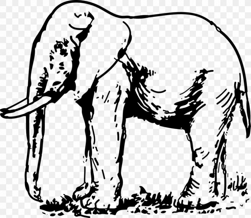 Asian Elephant Drawing Black And White Clip Art, PNG, 831x720px, Asian Elephant, African Elephant, Art, Artwork, Black And White Download Free