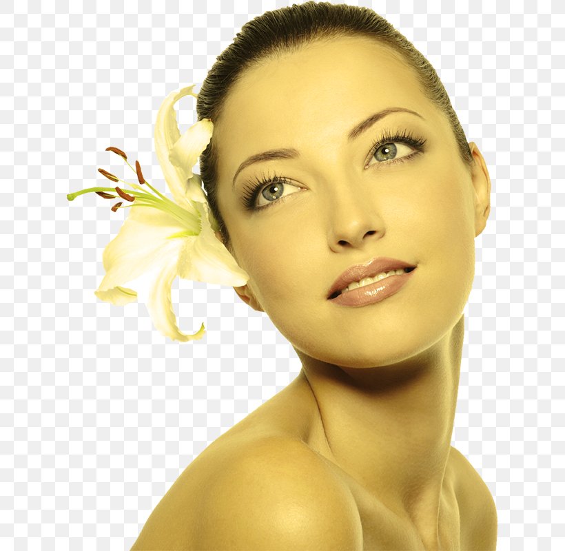 Facial Skin Care Dermis Wrinkle, PNG, 626x800px, Facial, Beauty, Brown Hair, Cheek, Chin Download Free