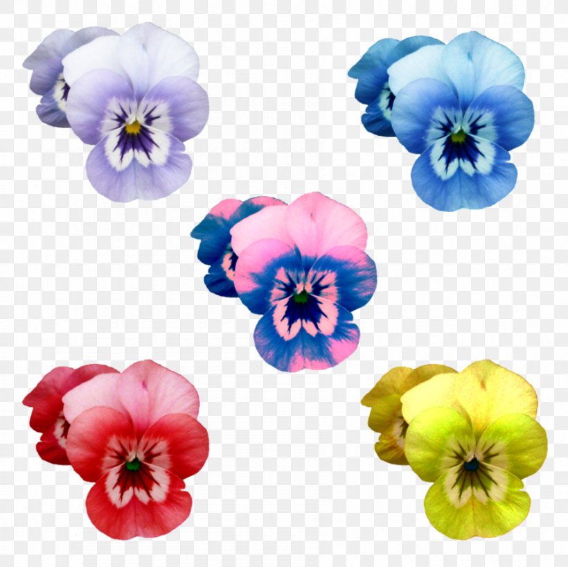 Flower Color Violet Purple, PNG, 895x893px, Flower, Blue, Cobalt Blue, Color, Flower Bouquet Download Free