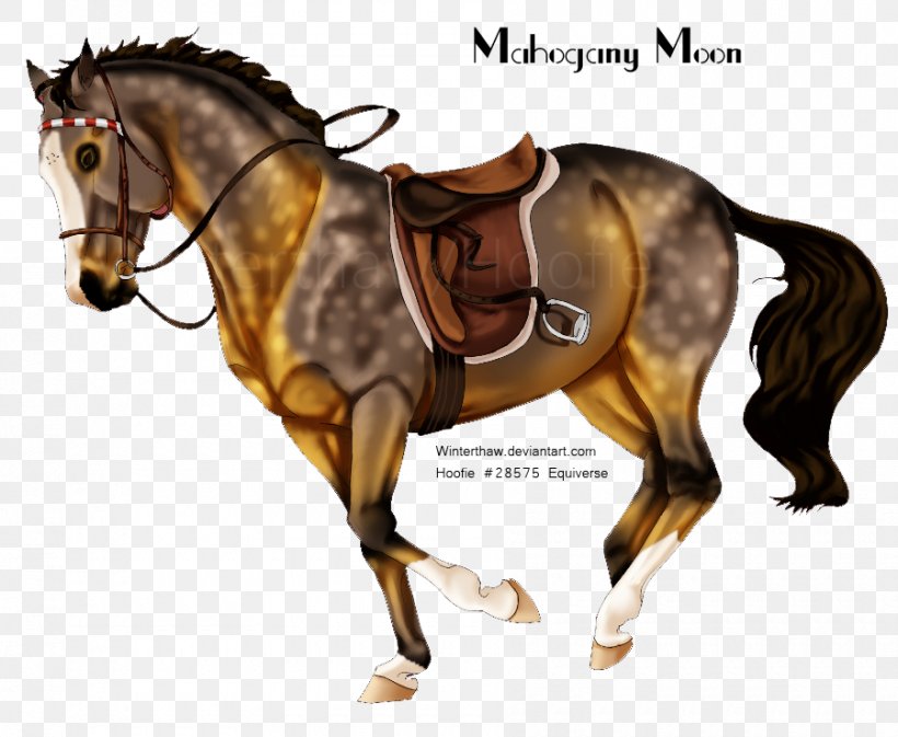 Mane Mustang Rein Stallion Western Riding, PNG, 900x739px, Mane, Bit, Bridle, English Riding, Equestrian Download Free