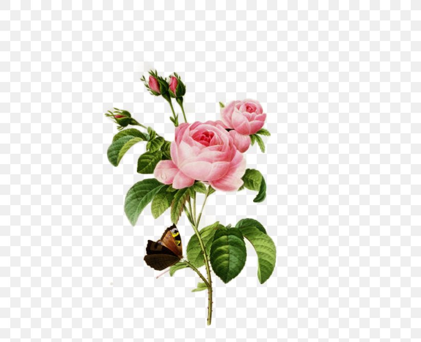 Choix Des Plus Belles Fleurs Botanical Illustration Art Rose Canvas, PNG, 500x667px, Choix Des Plus Belles Fleurs, Art, Art Museum, Artificial Flower, Botanical Illustration Download Free