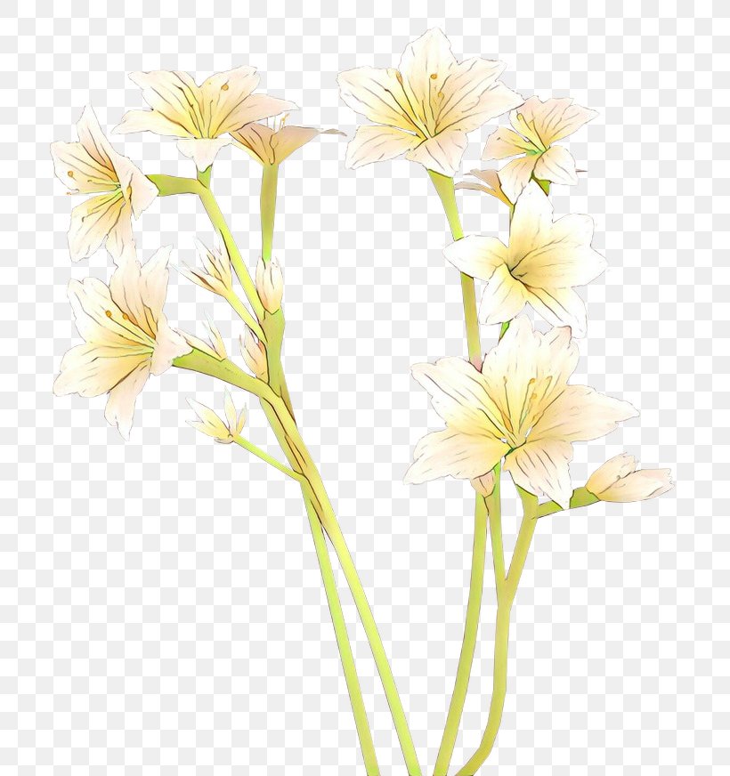 Cut Flowers Petal Plants, PNG, 753x872px, Flower, Artificial Flower, Botany, Cut Flowers, Digital Image Download Free