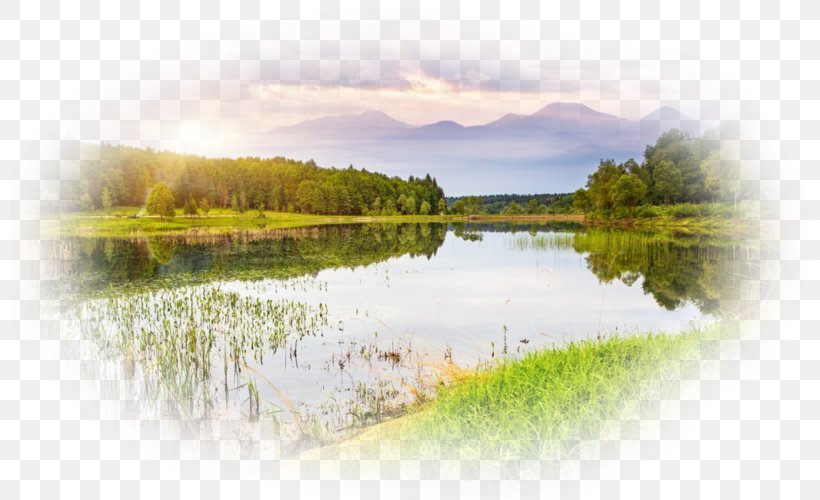 Desktop Wallpaper Landscape Nature Story Water Resources Cloud, PNG, 800x500px, Landscape, Bank, Cloud, Floodplain, Grass Download Free