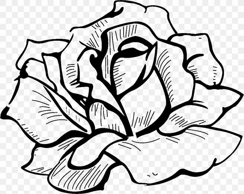 Drawing Flower Icon, PNG, 1024x814px, Flower, Area, Art, Artwork, Beach Rose Download Free