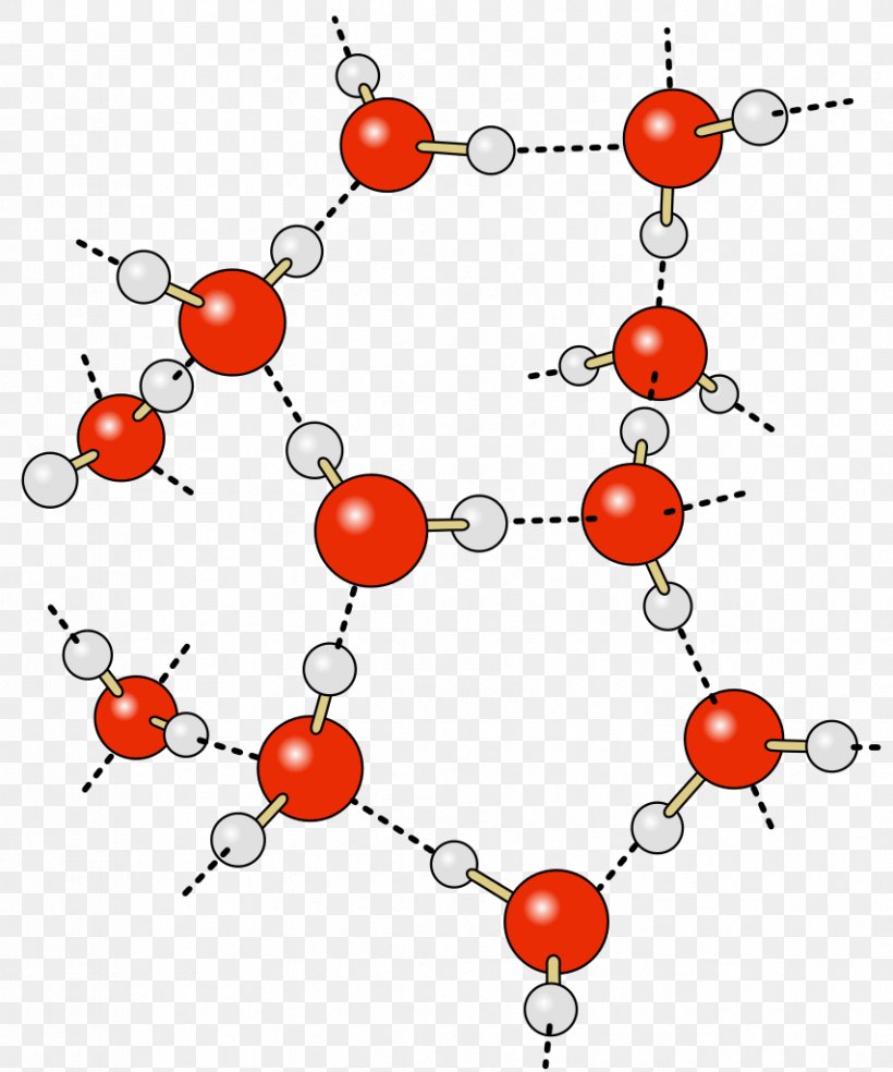 Hydrogen Bond Water Partial Charge Chemical Bond, PNG, 853x1024px, Hydrogen Bond, Area, Art, Atom, Bead Download Free