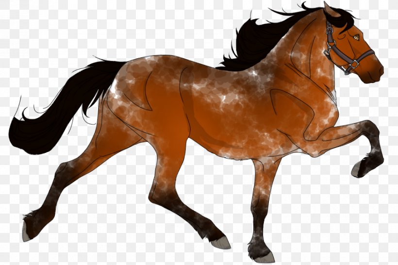 Mustang Appaloosa American Quarter Horse Shire Horse Pony, PNG, 900x600px, Mustang, American Quarter Horse, Animal Figure, Appaloosa, Bay Download Free