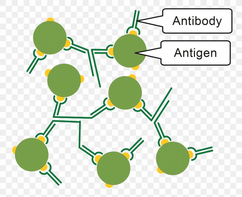 Pathogen Immune System Antibody Antigen Immunity, PNG, 1802x1468px, Pathogen, Antibody, Antigen, Area, Blood Cell Download Free